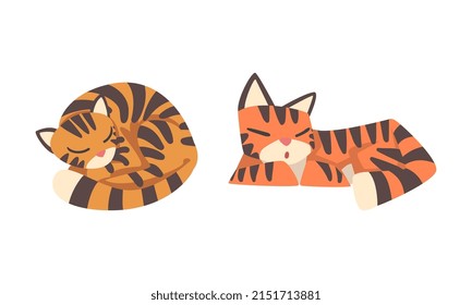 Tiger Character with Orange Fur and Black Stripes Cuddling and Sleeping Vector Illustration Set