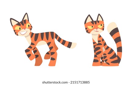 Tiger Character with Orange Fur and Black Stripes Walking and Sitting Vector Illustration Set