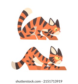 Tiger Character with Orange Fur and Black Stripes Sneaking Vector Illustration Set