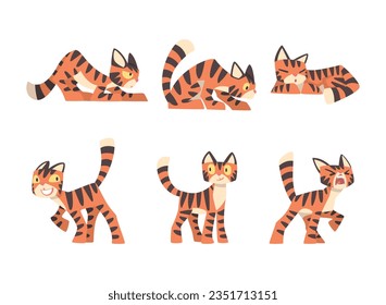 Tiger Character with Orange Fur and Black Stripes Vector Set