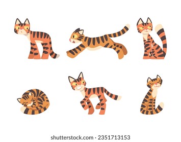 Tiger Character with Orange Fur and Black Stripes Vector Set