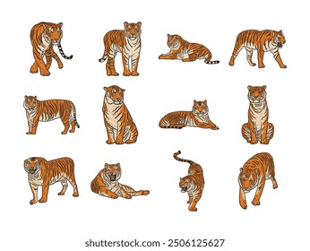 Tiger Character Set - Colored