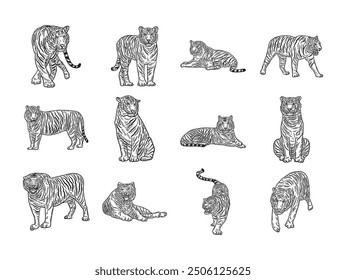 Tiger Character Set - Colorless