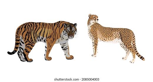 Tiger and cheetah vector pattern on white background 