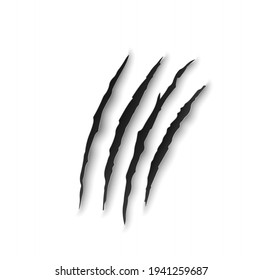 Tiger claw marks, scratches, predator nails vector trail. Wild animal talon rips, bear or cat paws sherds on white background. Lion, monster, dragon or beast break traces, realistic 3d marks on paper