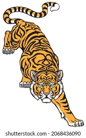 Tiger climbing down and Big cat eyes looking straight. Isolated front view image. Tattoo style vector illustration