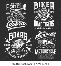 Tiger, cobra, panther and boar t-shirt print vector mockup of fight sport and biker club custom apparel template. Wild aggressive animal and attacking snake grunge badges with lettering