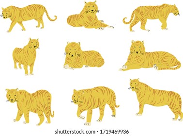 Tiger Collection Vector Illustration Wild Animal