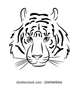 tiger color profile face mammal carnivore portrait vector wild cat  symbol chinese new year 2022