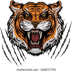 Tiger Color Tattoo