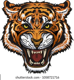 Tiger Color Tattoo