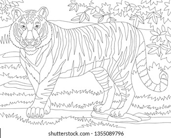 Adult Colouring Tiger Images, Stock Photos & Vectors | Shutterstock