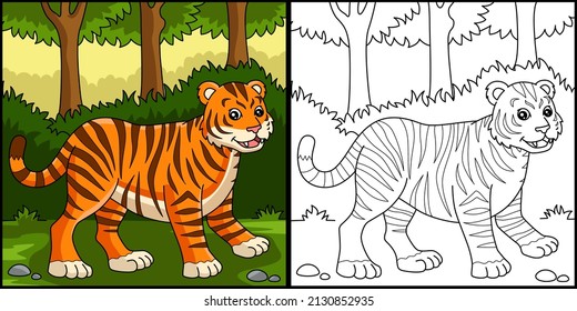 Tiger Coloring Page Colored Illustration