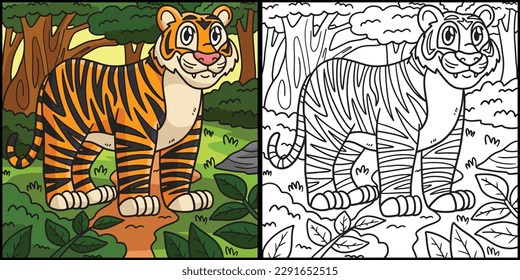 Tiger Coloring Page Colored Illustration