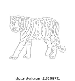 Tiger coloring page isolated for kids