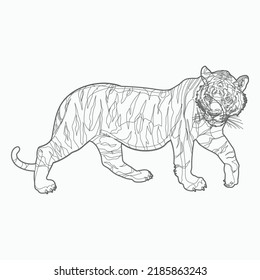 Tiger Coloring Page for Kids Download