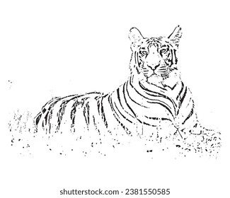 Tiger coloring pages vector download