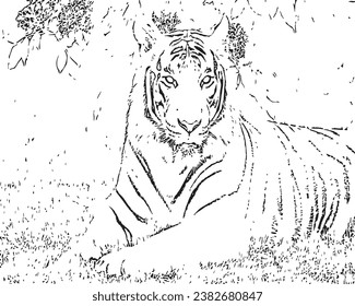 Tiger coloring pages vector download