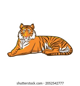 tiger cool illustration vector design