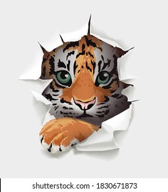 Tiger Cub Face In Paper Hole Illustration