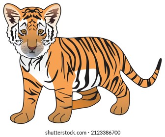 Tigerwürfel, Vektorgrafik einzeln auf weißem Hintergrund, Cartoon-Säugetier-Pose-Charakter stehend, Kopfseite Logo Symbol Symbol Symbol Symbol Symbol Objekt-Vektorgrafik Naturdschungelkonzept 