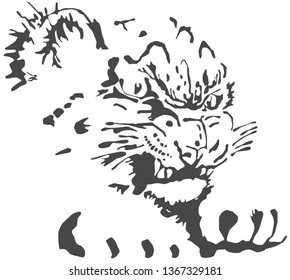 tiger cub vector image