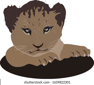 猫 顔 イラスト のイラスト素材 画像 ベクター画像 Shutterstock 猫 顔 イラスト のイラスト素材 画像 ベクター画像 Shutterstock