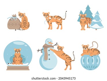 Tiger in different poses. Cute animal in winter season