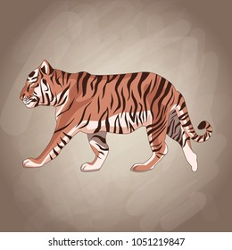 Tiger drawing over brown background