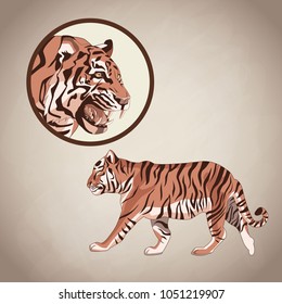 Tiger drawing over brown background