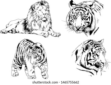 tiger drawn with ink from the hands of a predator tattoo logo