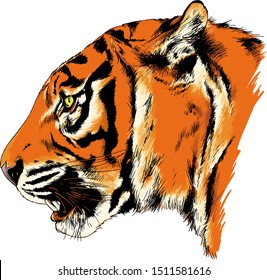 tiger drawn with ink from the hands of a predator tattoo logo