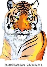 Tiger drawn in vector format with watercolor effect