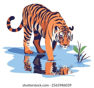 Agua potable del tigre en el estanque con la Ilustración vectorial plana de la reflexión