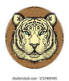 Tiger emblem, front view tiger portrait, hand drawn vector illustration
