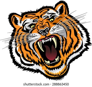 Tiger Face