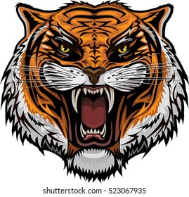 Tiger Face
