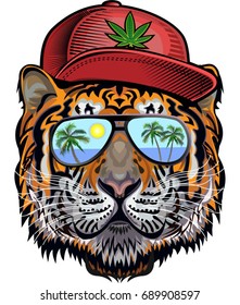 Tiger Face
