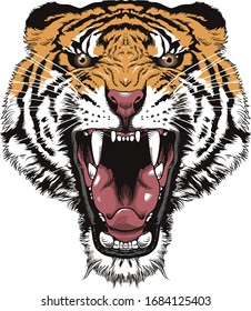 Tiger face art in white background