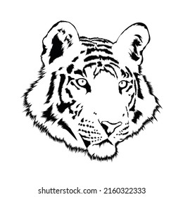 Tiger Face Black White Drawing Illustrator Stock Vector (royalty Free 