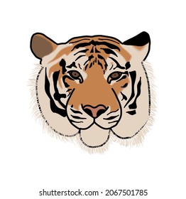 Tiger face cartoon free-hand drawing