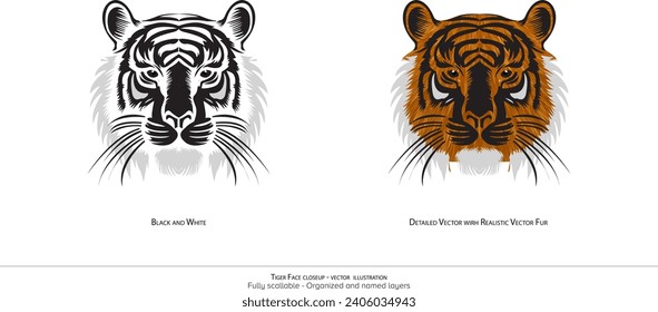 Tiger Face closeup - vector illustration. Tiger face detailed vector. realistic drawing. black and white drawing. Colored tiger face. Wildlife illustration.