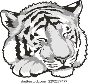 Tiger Face Expression Illustration. Tattoo Art. Vector.