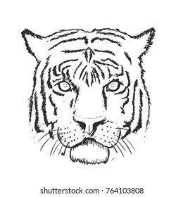 Tiger Face Hand Drawn Sketch. Vector illustration
