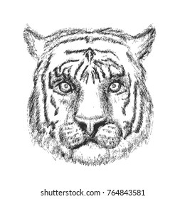 Tiger Face Hand Drawn Sketch. Vector illustration