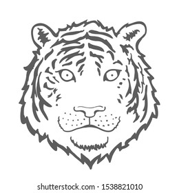Tiger face or head. Hand drawn Tiger Head animal or predator isolated on white background. Vector illustration