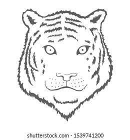 Tiger face or head. Hand drawn Tiger Head animal or predator isolated on white background. Vector illustration