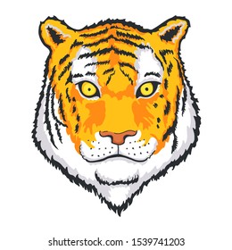 Tiger face or head. Hand drawn Tiger Head animal or predator isolated on white background. Vector illustration
