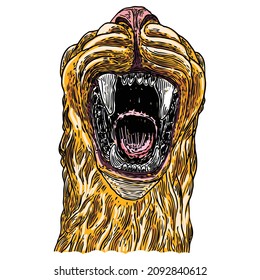 Tiger face illustration. Colour tiger head. Portrait of big wild cat, hand drawing in details. Vector. 