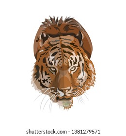 Tiger face image. Vector illustration isolated on the white background